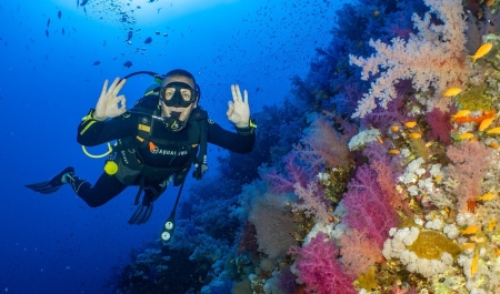 plongée à  Hurghada à  la Mer Rouge